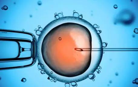 案例